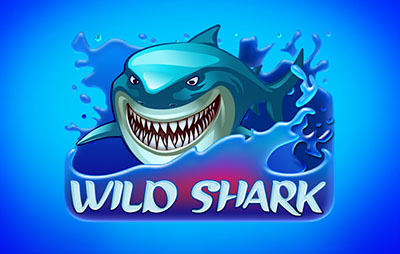 Wild Shark